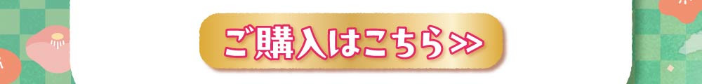 2025新春フェイスマスク20点福袋