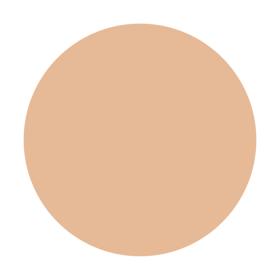 オークル20