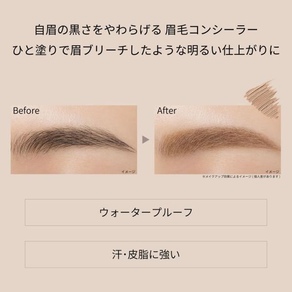 エテュセ アイエディション　(ブロウコンシーラー)