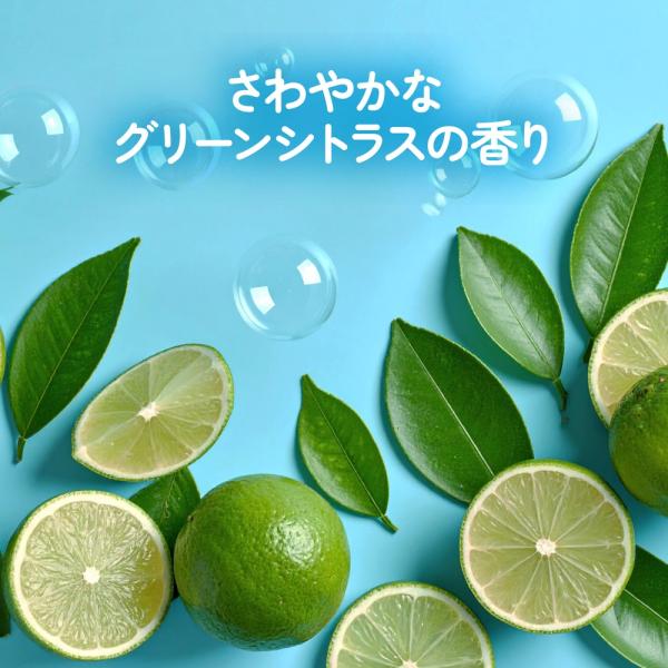 ペリカン 毛穴しらず