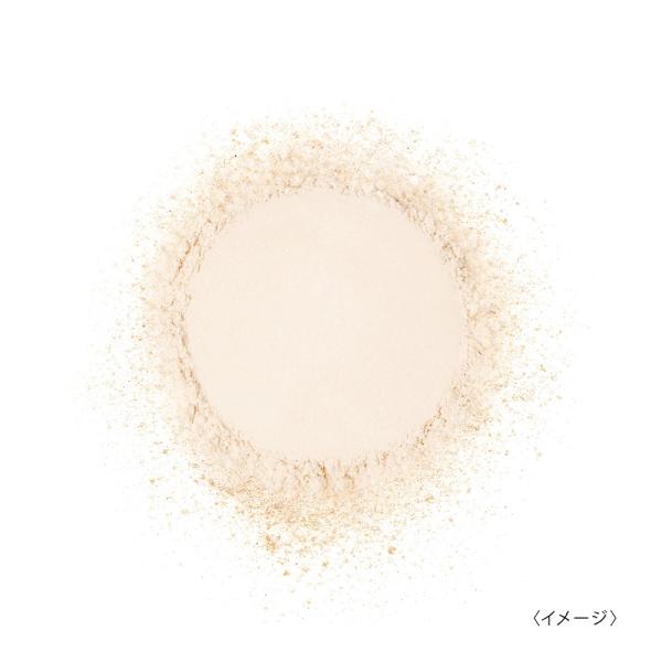 スキンガーディアン ブラッシュオンUVパウダー01