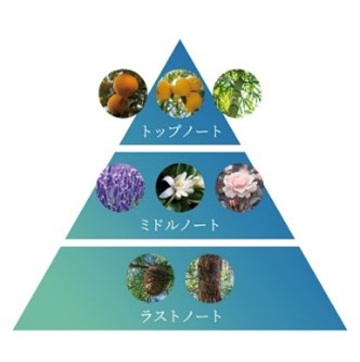 アユーラ メディテーションナイトトワレ