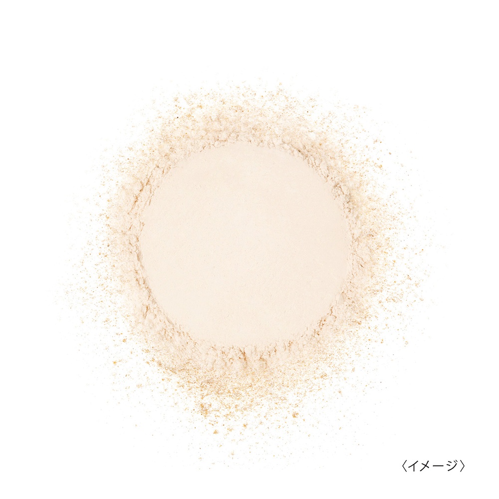 スキンガーディアン ブラッシュオンUVパウダー01